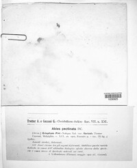Image Associated With the Occurence